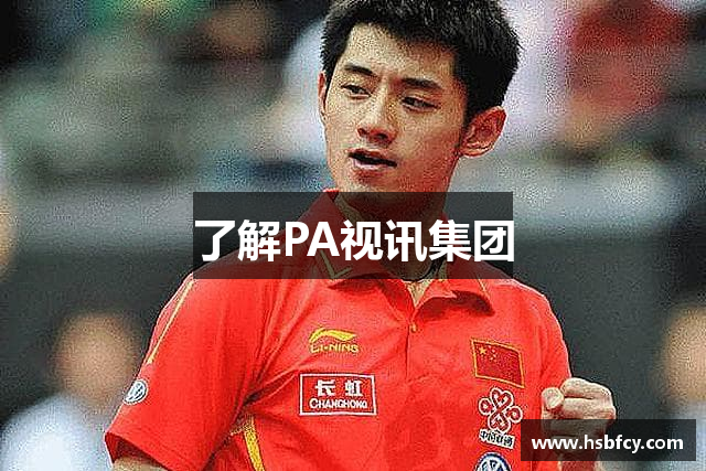 了解PA视讯集团